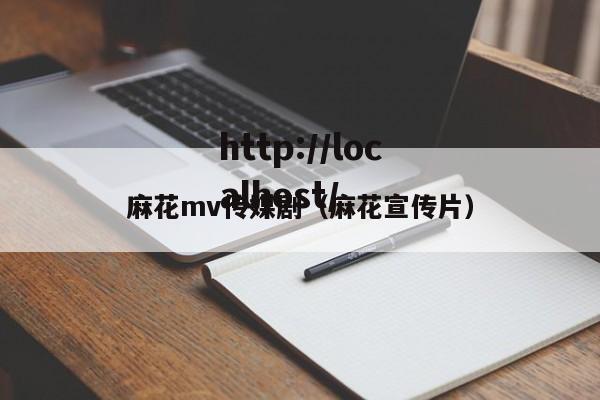 麻花mv传媒剧（麻花宣传片）